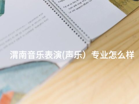 渭南音乐表演(声乐）专业怎么样