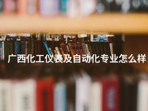 广西化工仪表及自动化专业怎么样