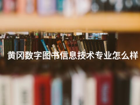 黄冈数字图书信息技术专业怎么样
