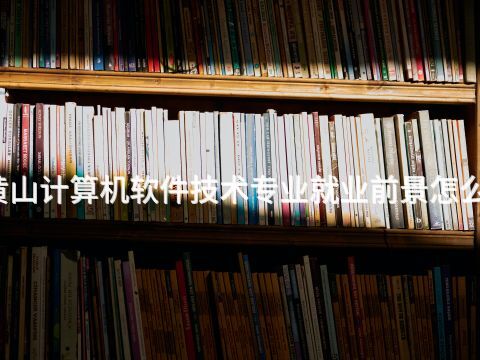 黄山计算机软件技术专业就业前景怎么样(图1) 黄山计算机软件技术专业就业前景怎么样(图1)