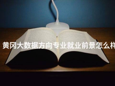 黄冈大数据方向专业就业前景怎么样(图1)