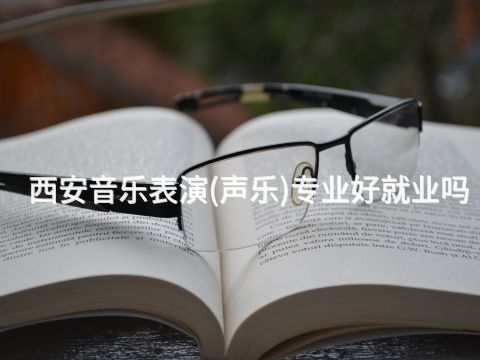 西安音乐表演(声乐)专业好就业吗