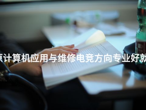 太原计算机应用与维修电竞方向专业好就业吗