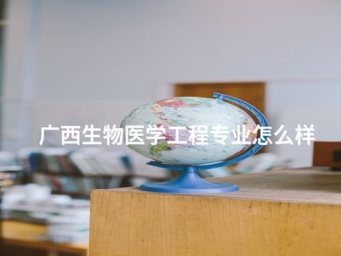 廣西生物醫(yī)學(xué)工程專業(yè)怎么樣(圖1) 廣西生物醫(yī)學(xué)工程專業(yè)怎么樣(圖1)