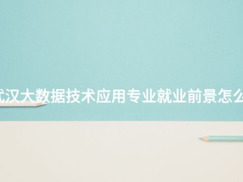 武汉大数据技术应用专业就业前景怎么样