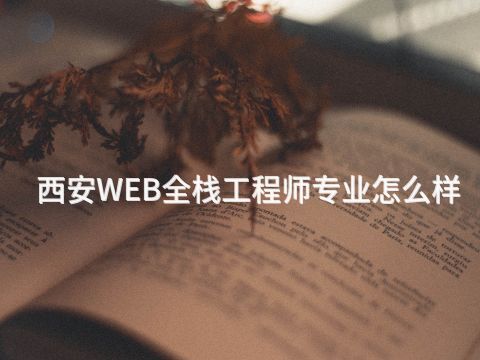 西安WEB全栈工程师专业怎么样