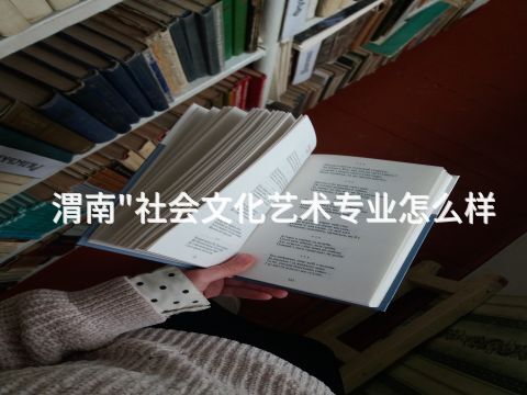 渭南"社会文化艺术专业怎么样