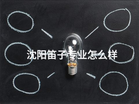 沈阳笛子专业怎么样