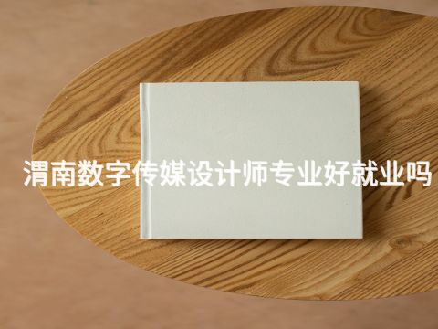 渭南数字传媒设计师专业好就业吗