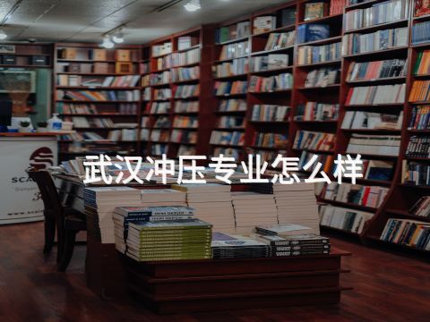 武汉冲压专业怎么样