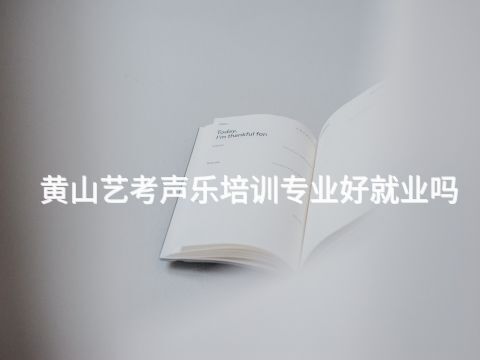 黄山艺考声乐培训专业好就业吗