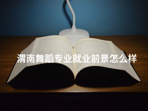渭南舞蹈专业就业前景怎么样