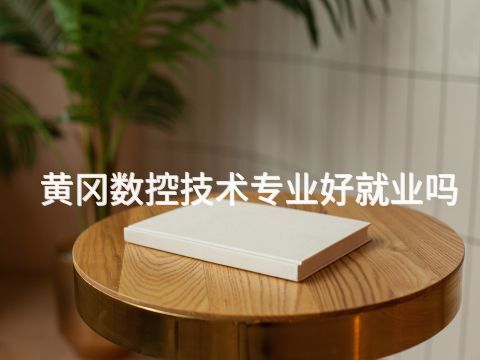 黃岡數(shù)控技術(shù)專(zhuān)業(yè)好就業(yè)嗎(圖1) 黃岡數(shù)控技術(shù)專(zhuān)業(yè)好就業(yè)嗎(圖1)