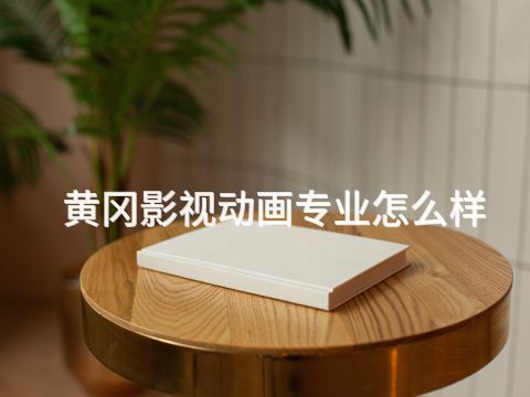 黄冈影视动画专业怎么样