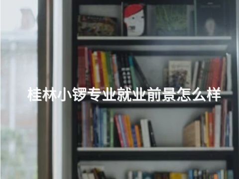 桂林小锣专业就业前景怎么样