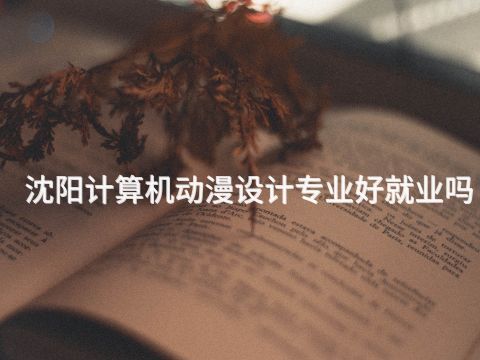 沈阳计算机动漫设计专业好就业吗